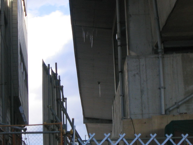 a0030217_20531272.jpg