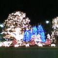 b0040819_13363052.jpg