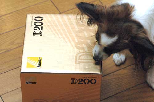 c0068424_2365375.jpg