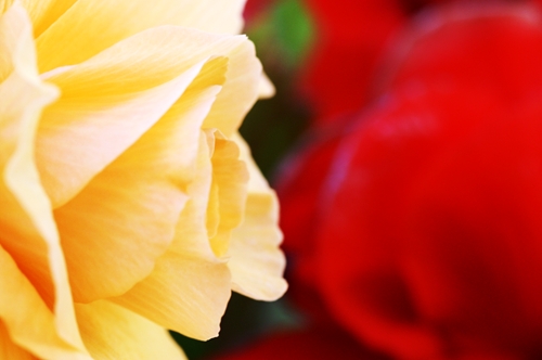 a0053732_18411727.jpg