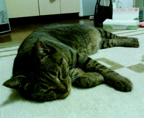 c0025840_1211548.jpg