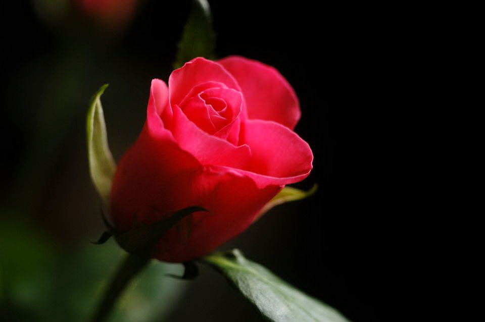 a0063552_947514.jpg