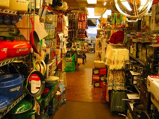a0040554_759241.jpg