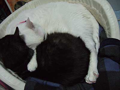 d0002472_23284635.jpg