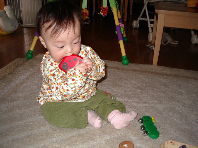e0089272_1154223.jpg