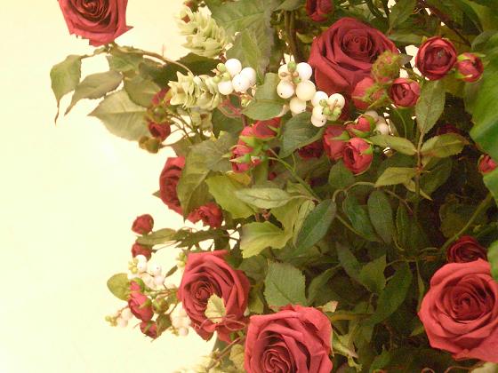 c0014779_23213661.jpg