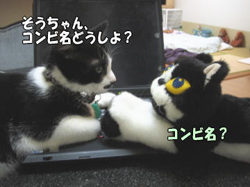 b0041182_1115580.jpg