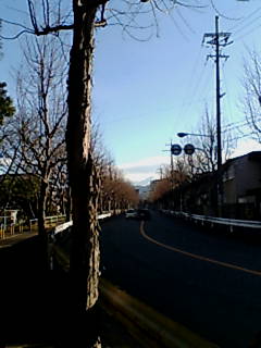 f0008085_11492534.jpg