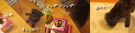 d0050995_2162969.jpg