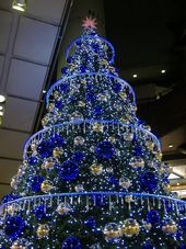 e0077498_2321227.jpg