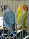 c0027700_18185673.jpg