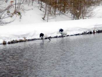 f0020302_1261819.jpg