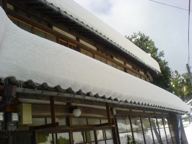 e0060807_0493962.jpg