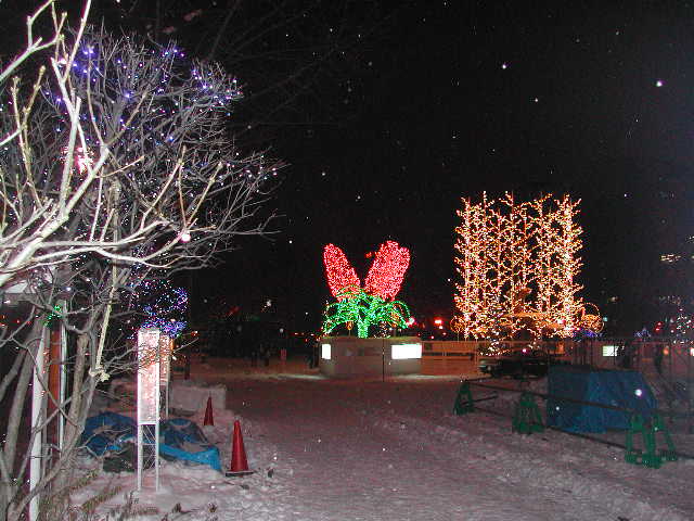 e0065830_23134910.jpg