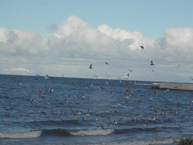 e0065830_2349202.jpg