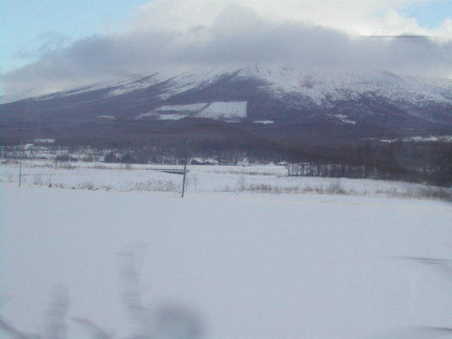 e0065830_2354283.jpg