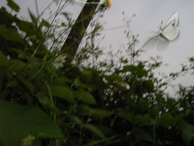 e0088036_23163568.jpg