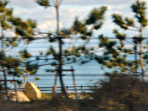 c0032138_1618328.jpg