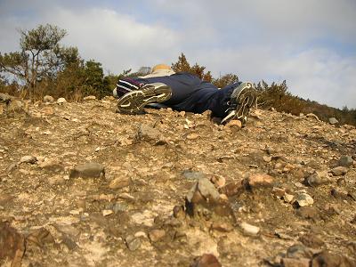 b0001044_17115430.jpg