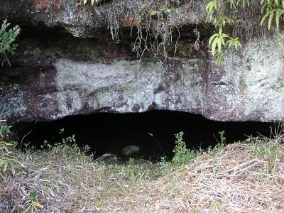 b0001044_1793093.jpg