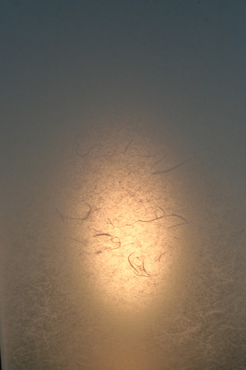 e0046147_20594025.jpg