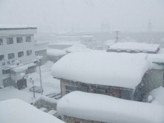 d0056563_0261795.jpg