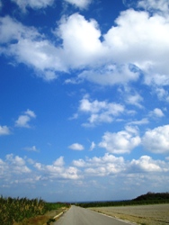 e0066369_173337.jpg