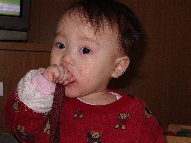 e0089272_2085335.jpg