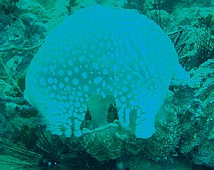 c0039073_16422442.jpg