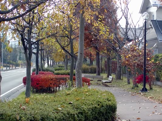 d0004296_23182886.jpg