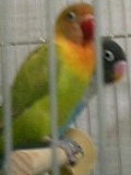 c0027700_2039699.jpg