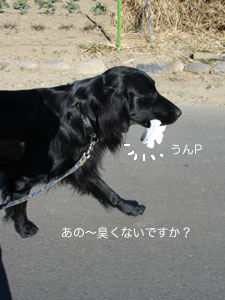 c0040702_0594766.jpg