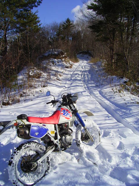 b0050305_17502818.jpg