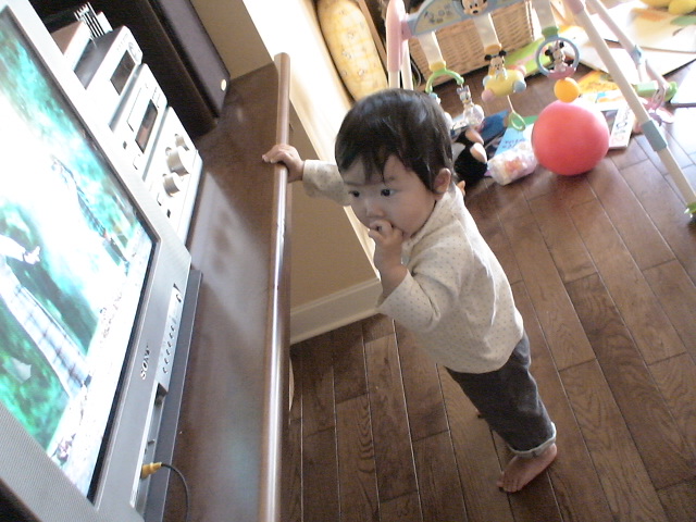 a0061009_14184636.jpg