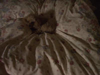 d0014909_0113341.jpg