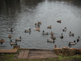 f0014011_9182518.jpg