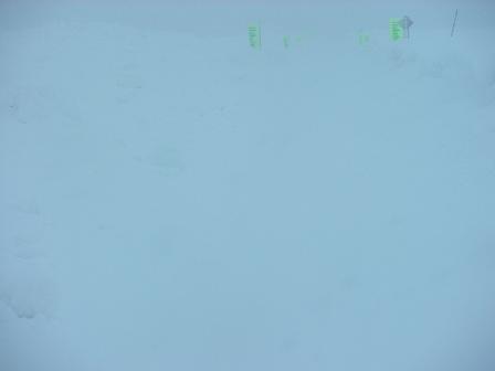 e0089227_1255573.jpg