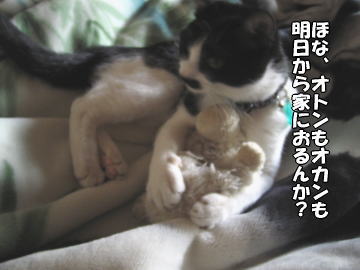 b0041182_1101458.jpg