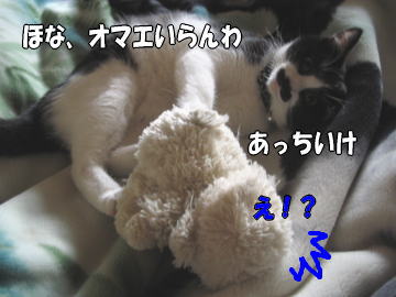 b0041182_1103211.jpg