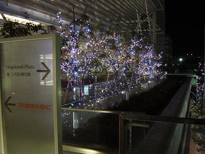 e0081284_031888.jpg