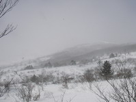 a0043193_2105572.jpg