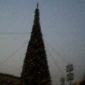 e0039100_22472513.jpg