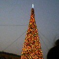 e0039100_22475299.jpg