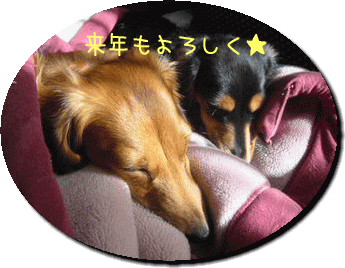 b0044804_9235462.gif