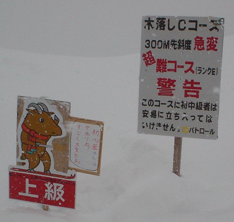 e0087905_15384493.jpg