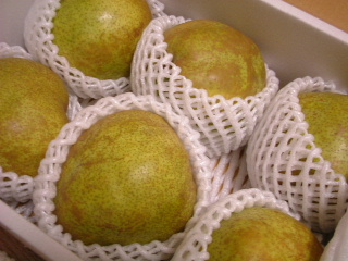 c0006312_18272441.jpg