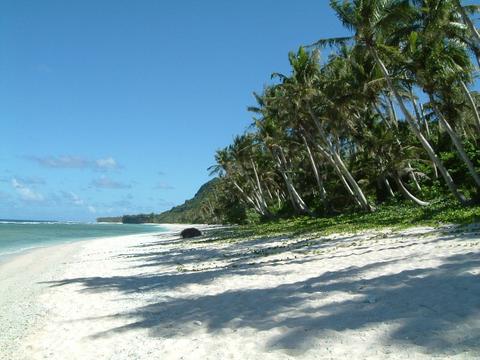 a0000014_1392897.jpg