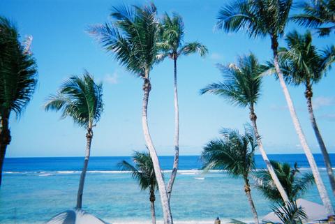 a0000014_221755.jpg