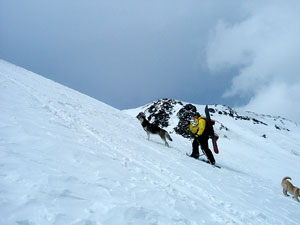 d0052419_2211475.jpg