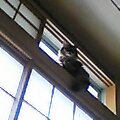 e0006428_9415239.jpg